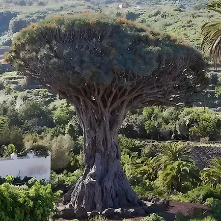 דירה Terraza, Centrico Pueblo + Aparcamiento Cerca *
