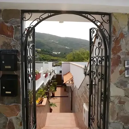 Terraza, Centrico Pueblo + Aparcamiento Cerca Апартаменты Икод-де-лос-Винос