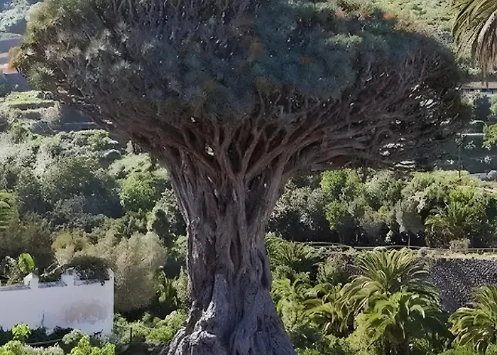 شقة Terraza, Centrico Pueblo + Aparcamiento Cerca *